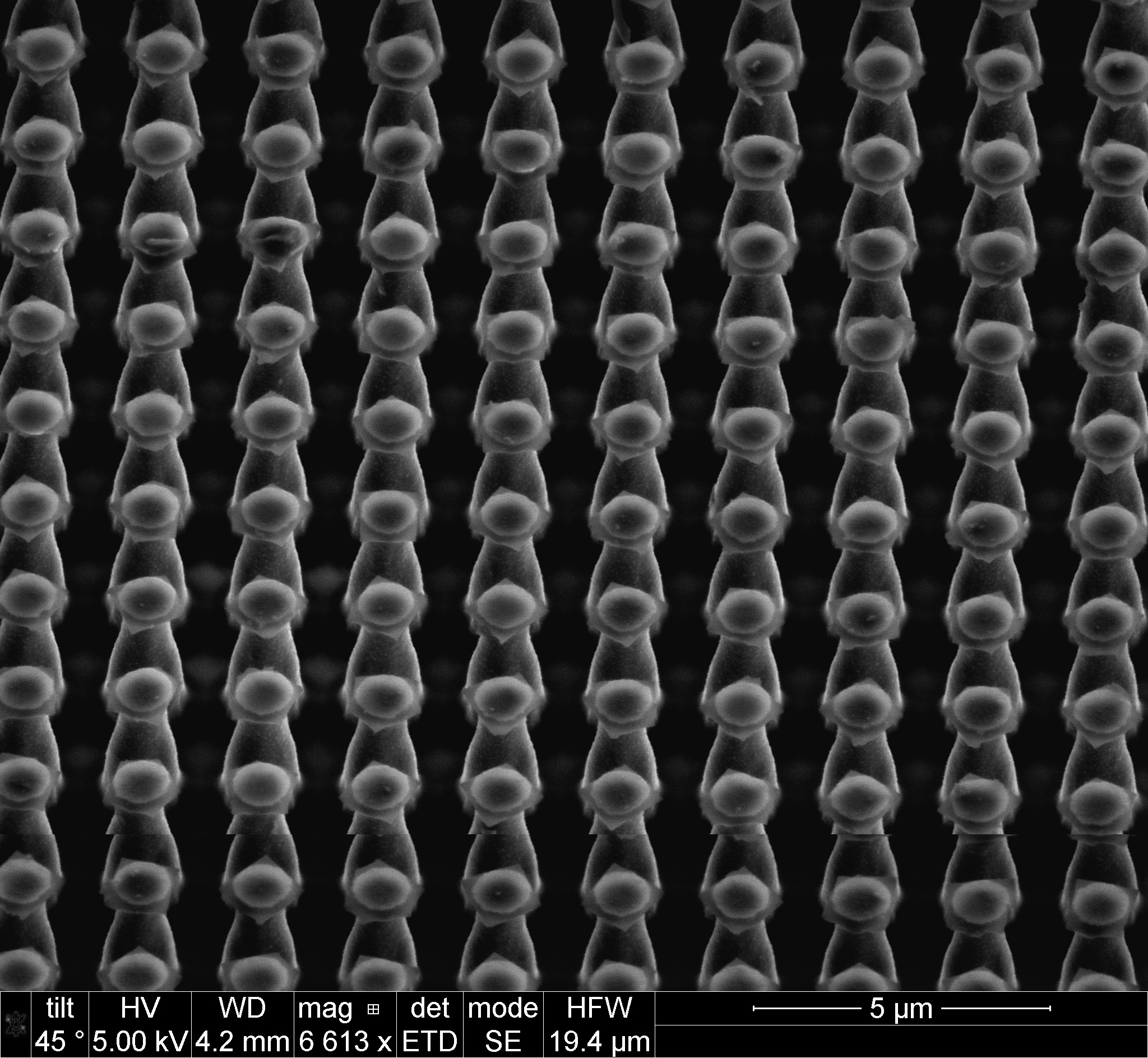 'No Social Distancing!?': These bottle-shaped structures were obtained during a low temperature (-90 ºC) cryo-based silicon etch process in Oxford Reactive Ion Etching tool. The goal of this process is to fabricate high-density sharp, pointed structures using 30 nm circular chrome mask dots with a pitch of 2 µm. T first few minutes of etch results in these structures.  This image is a part of research integrating semiconductor-based components and functionality into soft microfluidics for the lysis of microbial cells (<5 µm) for single cell genomics and other biological applications. The tool used for imaging is an FIB FEI Nova 600 NanoLab.