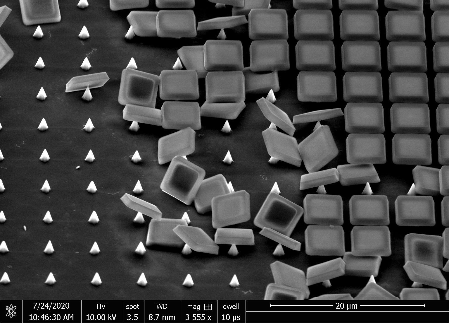 'Life in 2020 - Balancing Act': These pointed pyramidal structures were obtained by a KOH-based isotropic silicon wet etch process. A 1 µm thick oxide masking layer is patterned and etched to obtain squares with 4 µm sides and 1 µm gap. This picture was imaged just before the release of the oxide caps from the pointed pyramidal silicon structures. These structures will be used to puncture the cell walls of biological cells. This image is a part of research integrating semiconductor-based components and functionality into soft microfluidics for the lysis of microbial cells (<5 µm) for single cell genomics and other biological applications. The tool used for imaging is an SEM FEI Quanta 650.